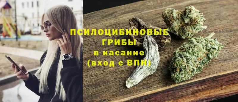 Галлюциногенные грибы GOLDEN TEACHER  omg вход  Макушино 